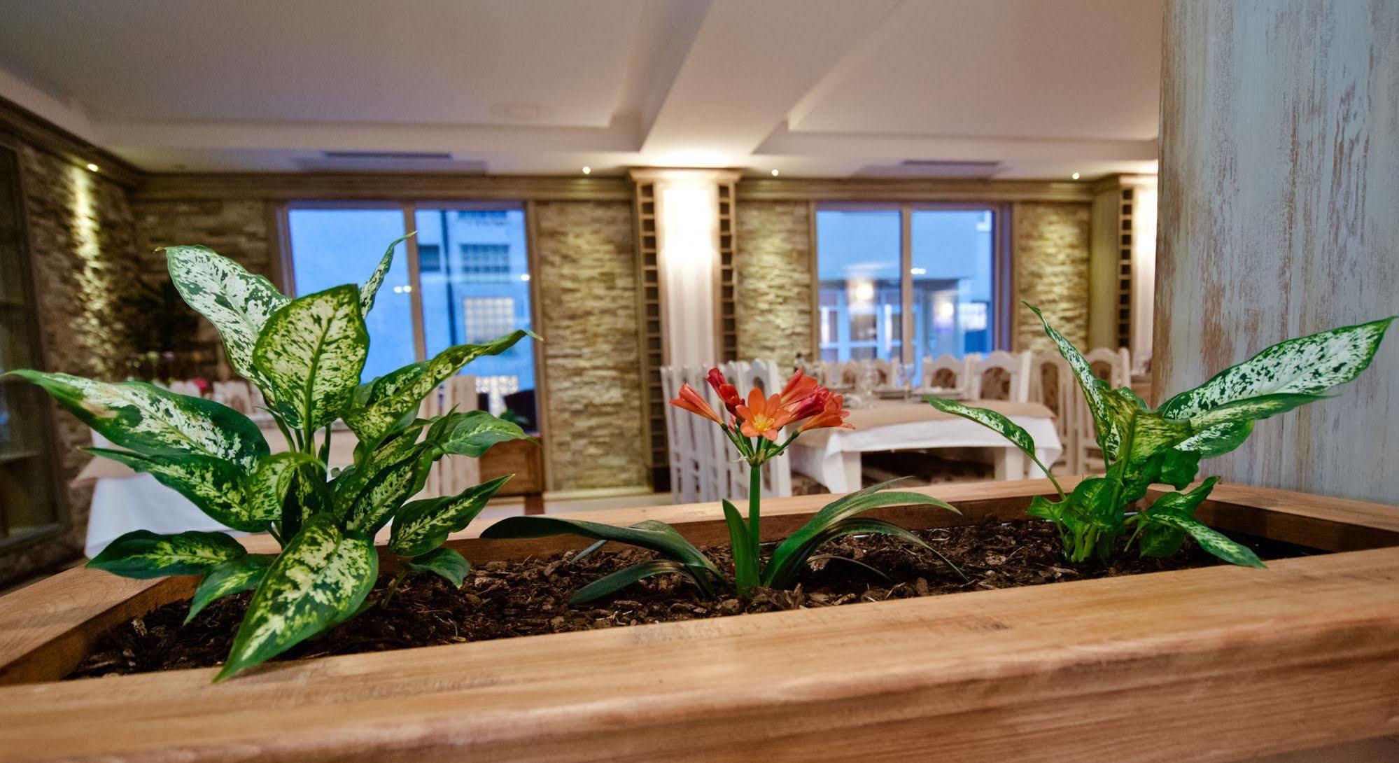 Wine Hotel Cesarica Medjugorje Ngoại thất bức ảnh