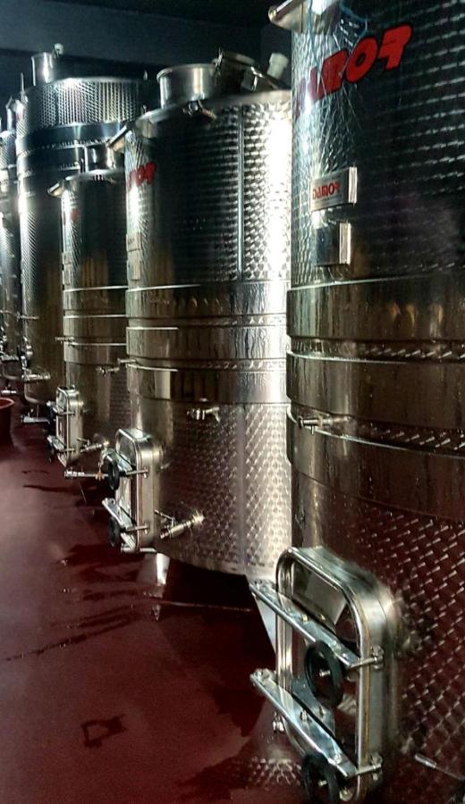 Wine Hotel Cesarica Medjugorje Ngoại thất bức ảnh